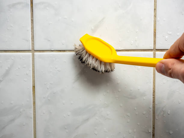 Best Local Mold Removal Service  in Beaver, WV