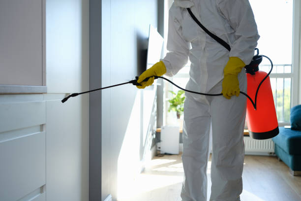 Best Office Mold Removal Services  in Beaver, WV